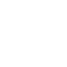 NEBZA Logo
